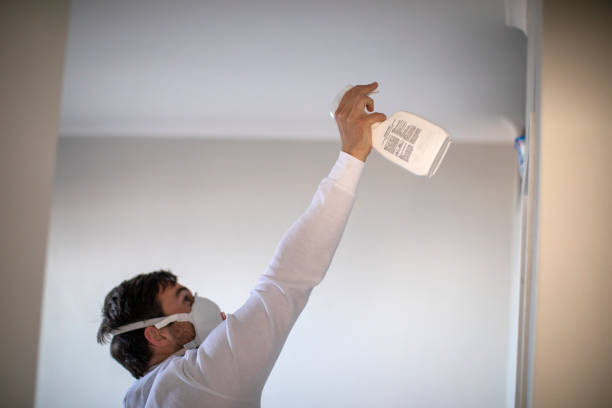 Best Certified Mold Removal  in Panther Valley, NJ
