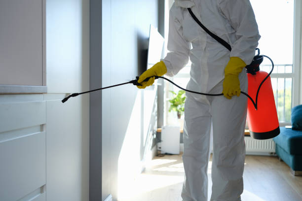 Best Mold Removal Company Near Me  in Panther Valley, NJ