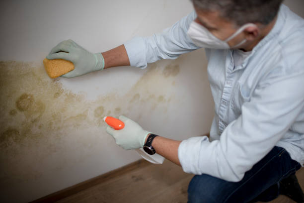 Best Mold Testing  in Panther Valley, NJ