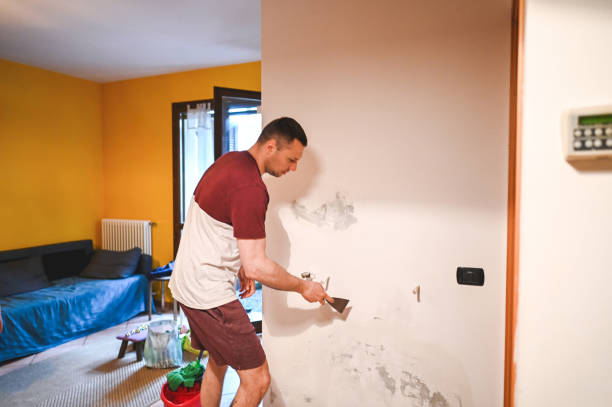 Best Home Mold Removal  in Panther Valley, NJ